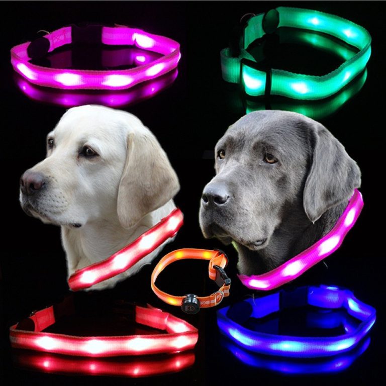 Leuchthalsband für Hunde Blinkende LED Sicherheitshalsbänder
